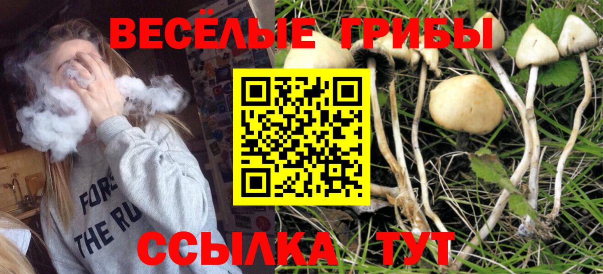Галлюциногенные грибы MAGIC MUSHROOMS Губаха
